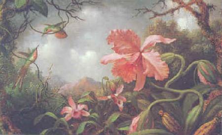 Martin Johnson Heade Hummingbirds and Two Varieties of Orchids Germany oil painting art